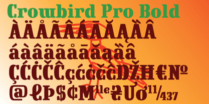 Crowbird Font Poster 4
