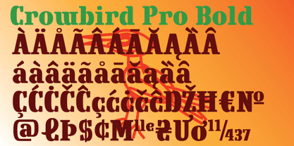 Crowbird Police Affiche 4