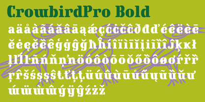 Crowbird Font Poster 5