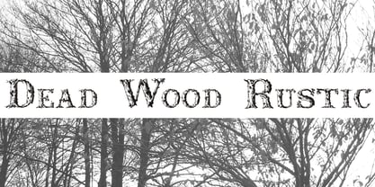 Dead Wood Rustic Font Poster 1