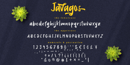 Javagos Font Poster 8