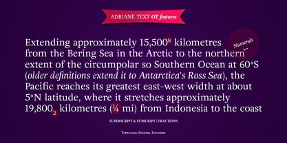Adriane Text Font Poster 4