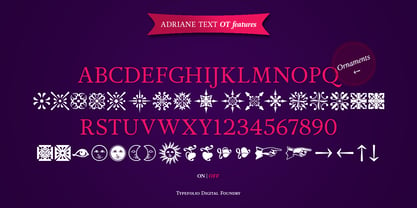 Adriane Text Font Poster 6