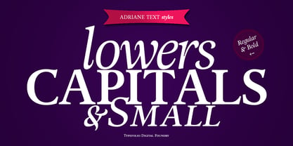 Adriane Text Font Poster 7