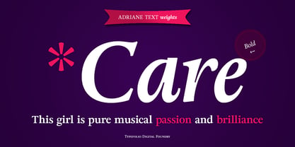 Adriane Text Font Poster 8