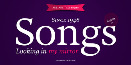 Adriane Text Font Poster 9