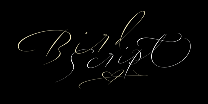 Bird Script Font Poster 1