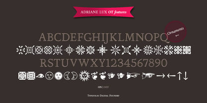 Adriane Lux Font Poster 4