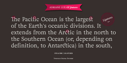 Adriane Lux Font Poster 7