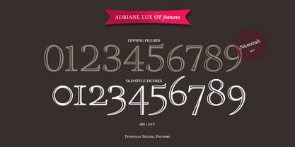 Adriane Lux Font Poster 5