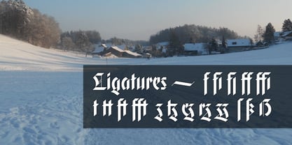 Gryffensee Font Poster 5
