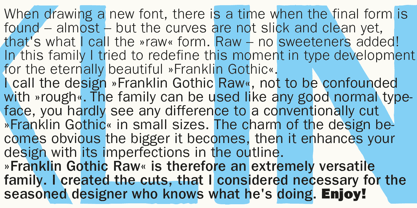 Franklin Gothic Raw Font Poster 5