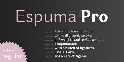 Espuma Pro Font Poster 2