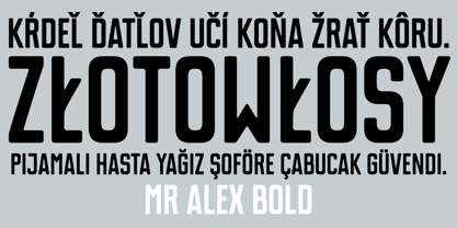 Mr Alex Font Poster 5