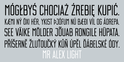 Mr Alex Font Poster 3