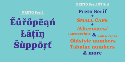 Preto Serif Font Poster 2