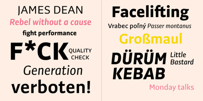 Preto Sans Font Poster 3