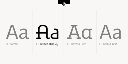 FF Karbid Display Font Poster 2