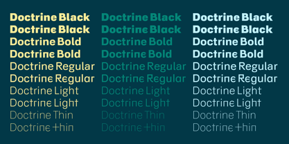 Doctrine Police Poster 2