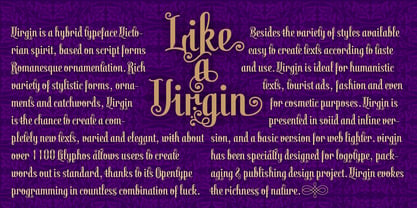Virgin Font Poster 18