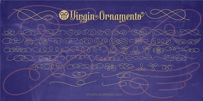 Virgin Font Poster 21