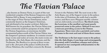 Flavian Font Poster 7