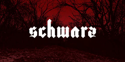 Schwarz Font Poster 5