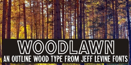 Woodlawn JNL Font Poster 1