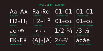 Niveau Serif Font Poster 4