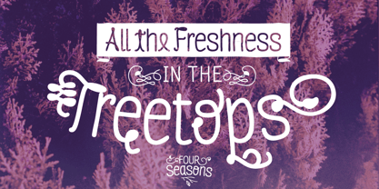 Four Seasons Font Poster 5