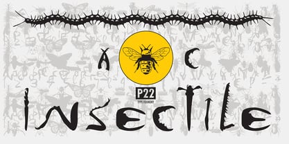 P22 Insectile Fuente Póster 2
