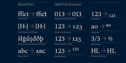 Quant Text Font Poster 7