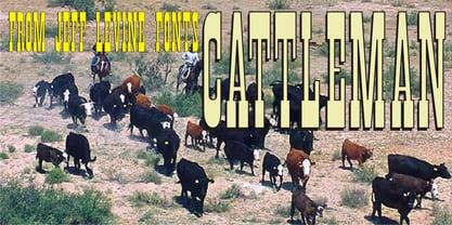 Cattleman JNL Font Poster 1