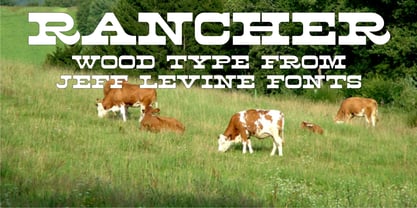 Rancher JNL Font Poster 1