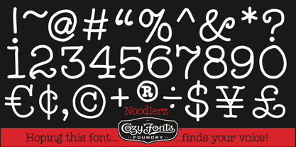 Noodlerz Font Poster 9