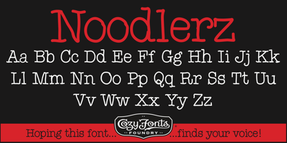 Noodlerz Font Poster 10