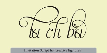 Invitation Script Font Poster 20