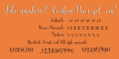 Cantoni Font Poster 17