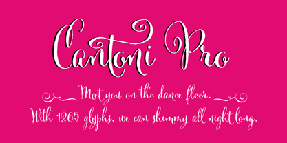 Cantoni Font Poster 4