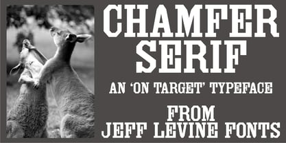 Chamfer Serif JNL Font Poster 1