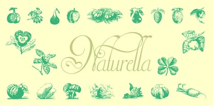 Naturella Font Poster 4