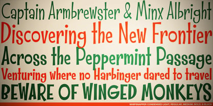 Whipsnapper Font Poster 2