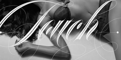 Erotica Font Poster 18