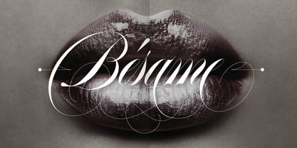 Erotica Font Poster 5