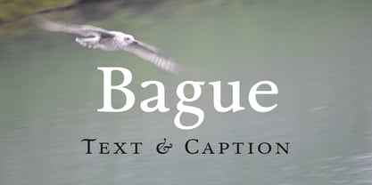 Bague Font Poster 1