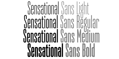 Sensational Sans Font Poster 5