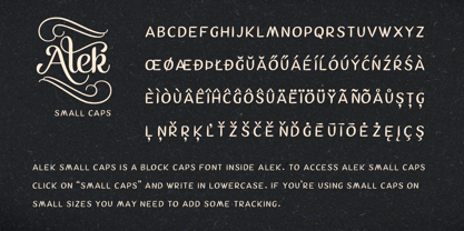 Alek Font Poster 15