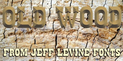 Old Wood JNL Font Poster 1
