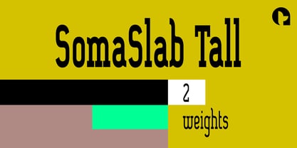 SomaSlab Tall Fuente Póster 1