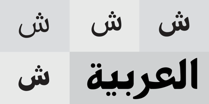 PF Nuyork Arabic Font Poster 2